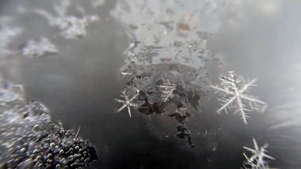 Naissance d'un flocon de neige!