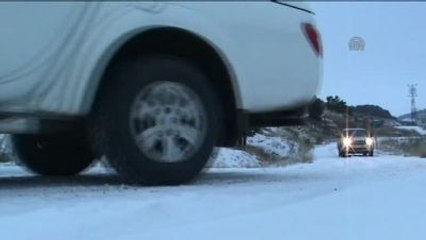 Tedavisi Yapılan Yaban Kazı Doğaya Bırakıldı