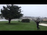 High Winds Knock Over Iconic Cypress at Pebble Beach Golf Course