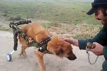 People with kind heart