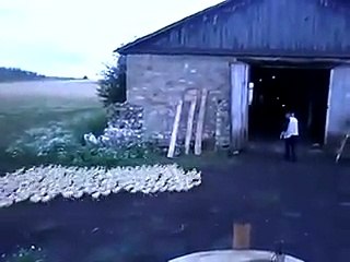 THIS VIDEO WILL MAKE YOU LAUGHING