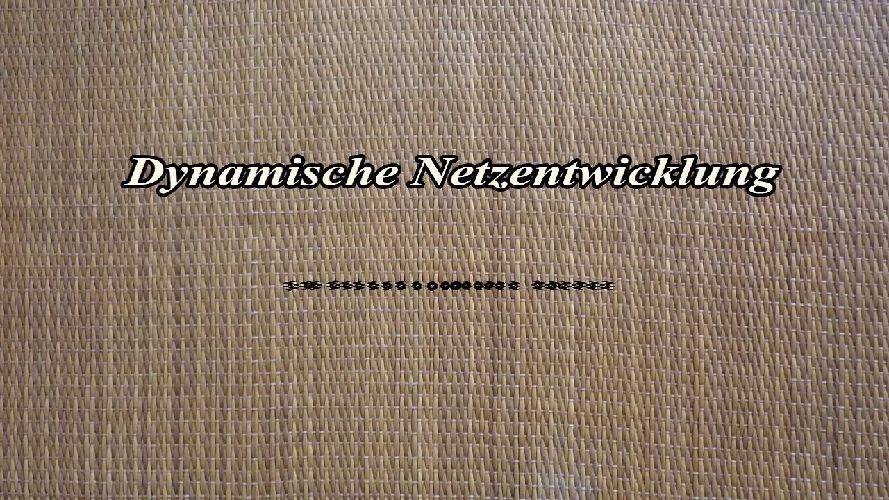 2014-12-11 Dynamische Netzentwicklung.avi