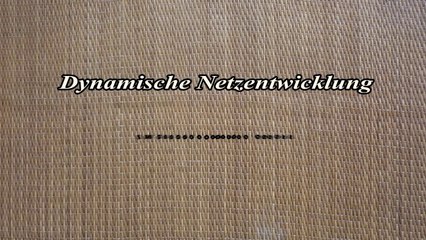 Neue Version: Dynamische Netzentwicklung – Aktualisierte Einblicke 📈