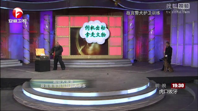 20141213 爱传万家-说出你的故事 超级犬来袭 故宫零零狗和导盲犬多多