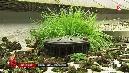 Une usine de production d'enveloppes fait le pari des énergies renouvelables