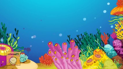 En Popüler 20 ÇOCUK ŞARKISI Bir Arada