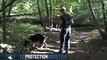 German shepherd puppy finds missing girl in the woods| ccprotectiondogs.com