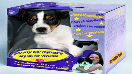 Perros al aire 06 de diciembre del 2014