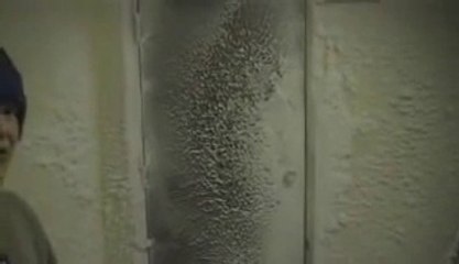 Extreme Antarctica Condition 1 Weather