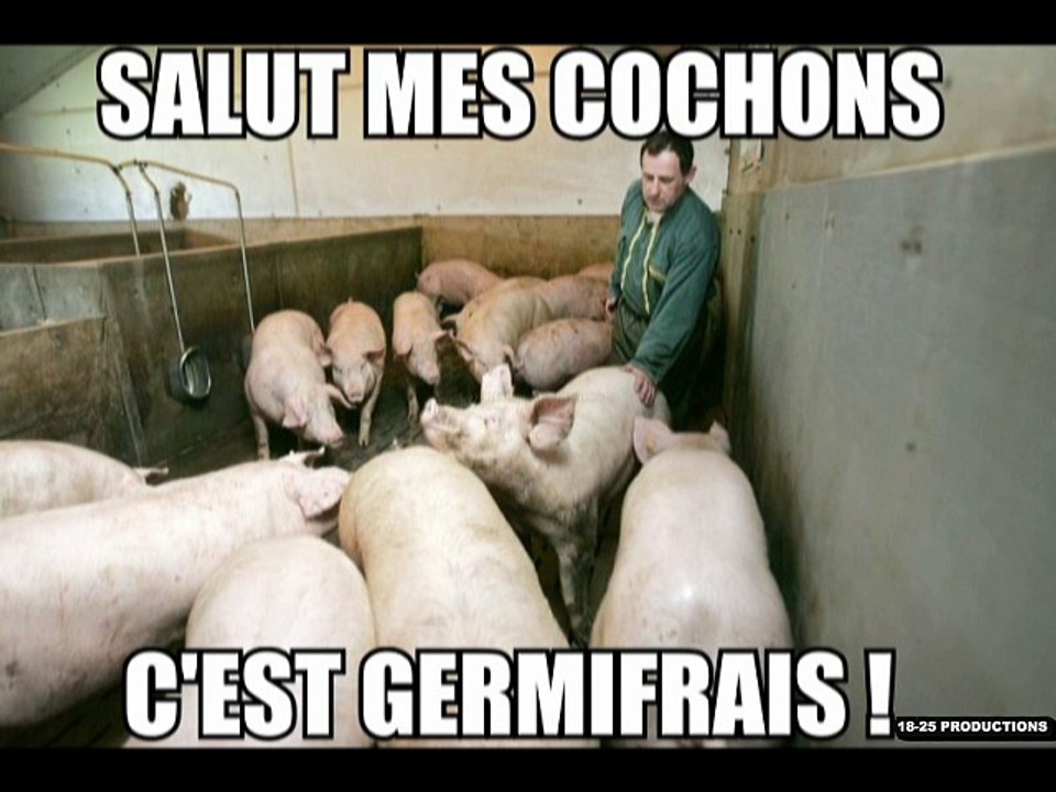 Germifrais est de retour sur le 18-25