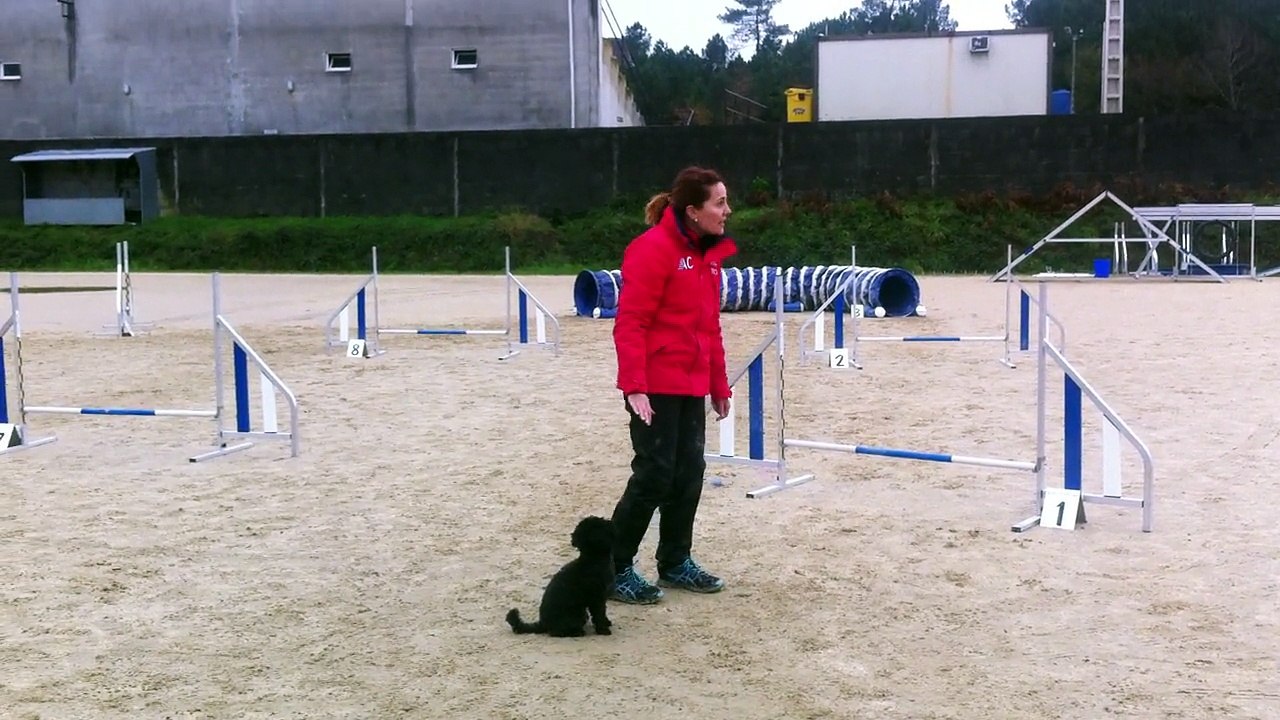 Pili & Miga - Prueba RSCE ACADE CANESPORT - 2ª Manga MINI GRADO 0 [Sabado 13Dic. 2014 - Campo de Reis, Pontevea - TEO]