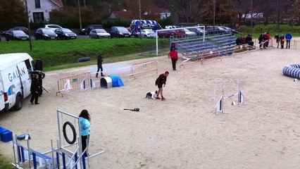 Fernando & Zoe - Prueba RSCE ACADE CANESPORT - 2ª Manga MINI GRADO 1 [Sabado 13Dic. 2014 - Campo de Reis, Pontevea - TEO]