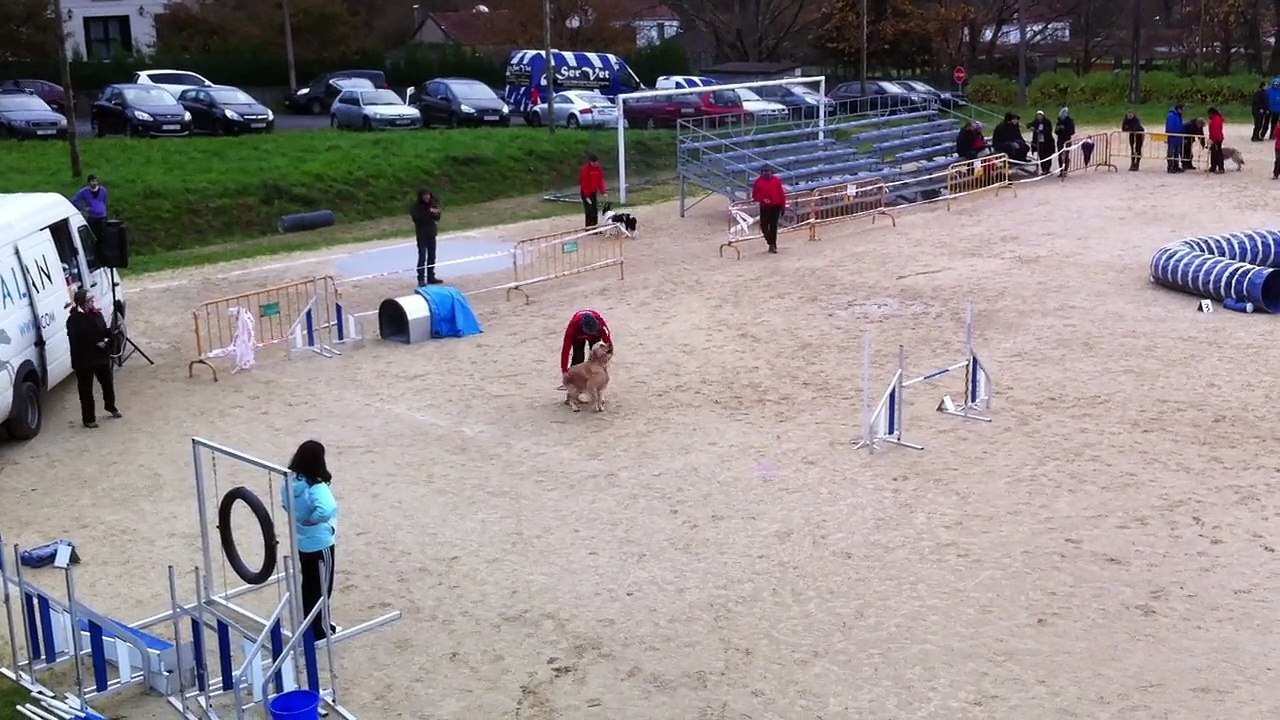 Gerardo & Seven - Prueba RSCE ACADE CANESPORT - 2ª Manga ESTANDAR GRADO 1 [Sabado 13Dic. 2014 - Campo de Reis, Pontevea - TEO]