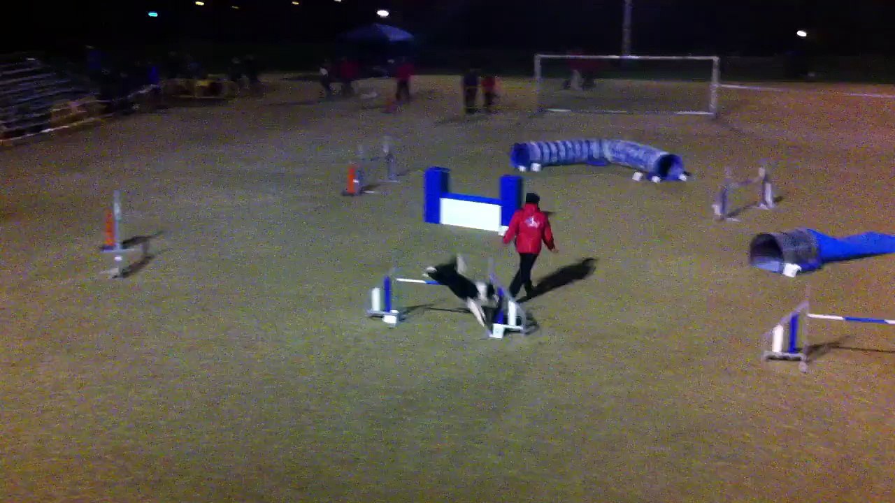 Jorge & Daxa - Prueba RSCE ACADE CANESPORT - 2ª Manga ESTANDAR GRADO 2 [Sabado 13Dic. 2014 - Campo de Reis, Pontevea - TEO]