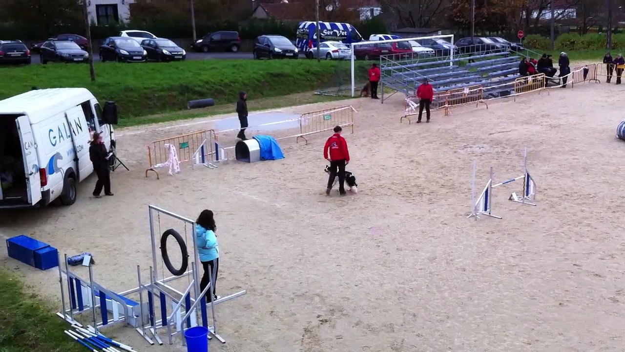 Lucia & Baxter - Prueba RSCE ACADE CANESPORT - 2ª Manga ESTANDAR GRADO 1 [Sabado 13Dic. 2014 - Campo de Reis, Pontevea - TEO]