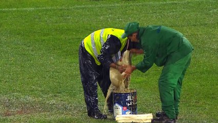Giant sponges used to drain Club World Cup pitch