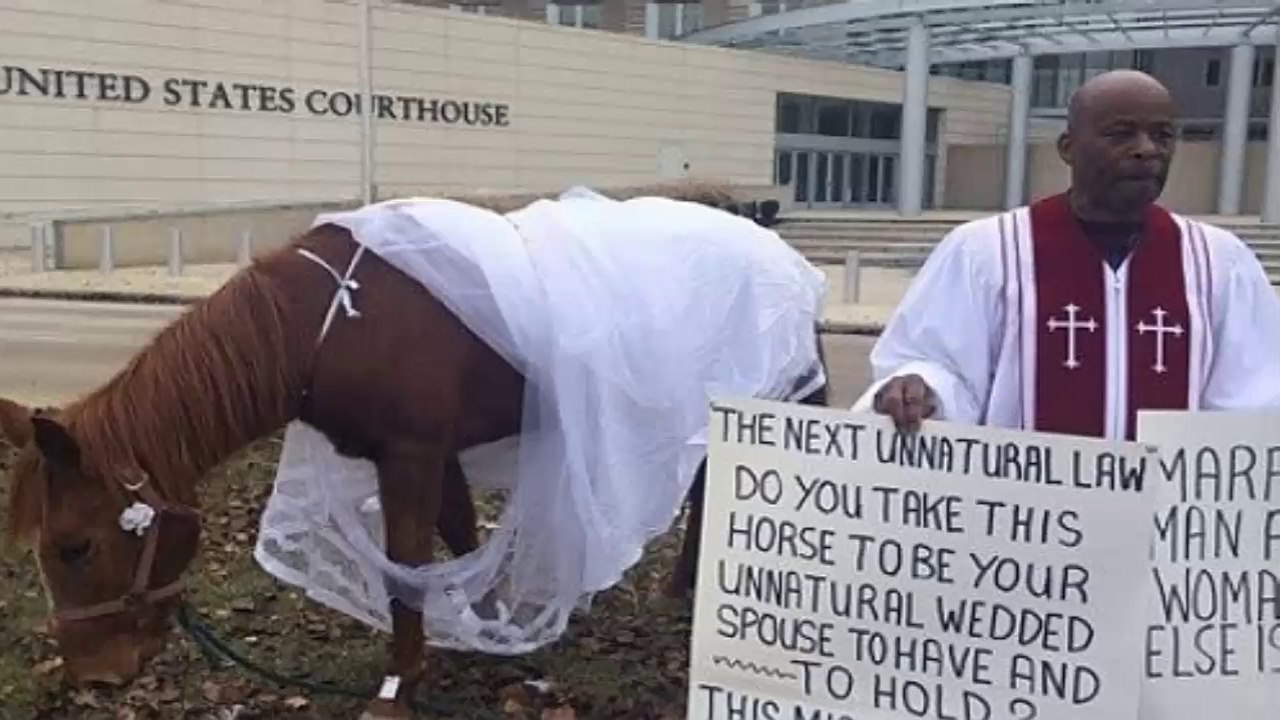 Pastor Parades Horse in Wedding Dress to Protest Same-Sex Marriage