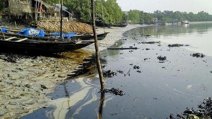 Bangladesh oil spill endangers livelihood