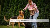 Hundeerziehung ohne Gewalt Baden Württemberg Clickertraining BW Lebensharmonie für Mensch und Tier