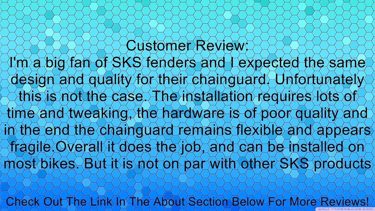 SKS bike chain tool chainboard hub gear Review