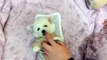 Lovely Bichon Frise Puppy! Bichon Frise Puppy Playing! Teacup Bichon Frise puppy for sale