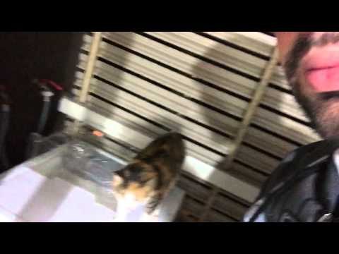 Vardoc Random Life ( Parte 590 ) #Vardoc1 : Meado xD 12/12/2014