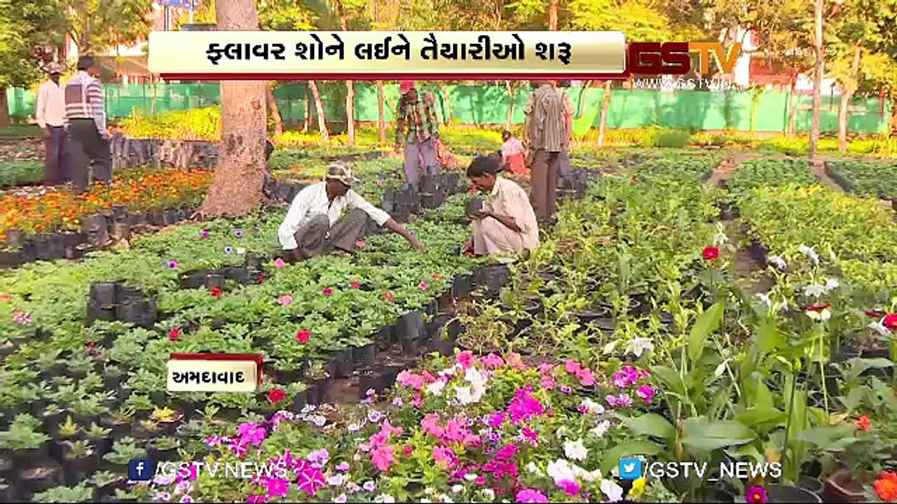 અમદાવાદમાં ફ્લાવર શો ની તૈયારીઓ શરુ, દેશ વિદેશના રંગબેરંગી ફૂલો જમાવશે આકર્ષણ