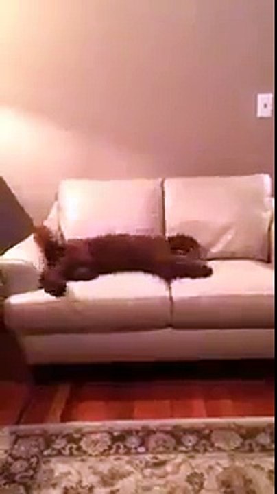 Dude, you're having a bad dream