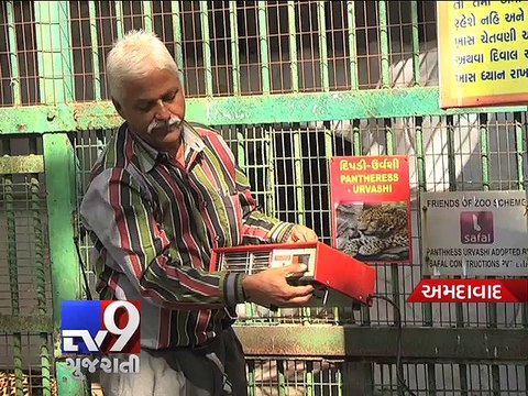 Kankaria zoo gears up to protect animals from cold, Ahmedabad - Tv9 Gujarati