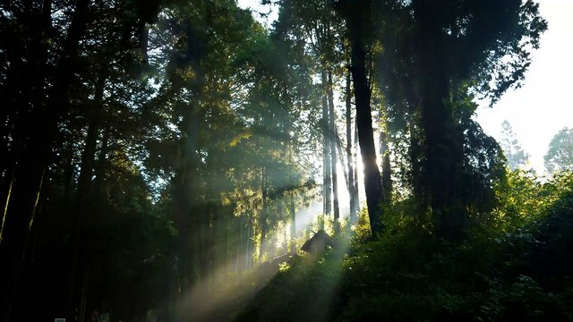 Rando du 22-11-2014 sur Valtrède - Saint Julien