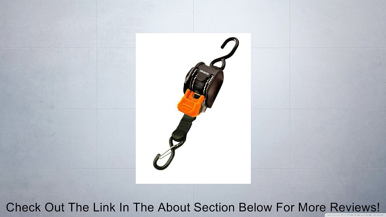 CargoBuckle F111640 Mini G3 Retractable Ratchet Tie-Down with Dual S-Hooks, 2-Pack Review