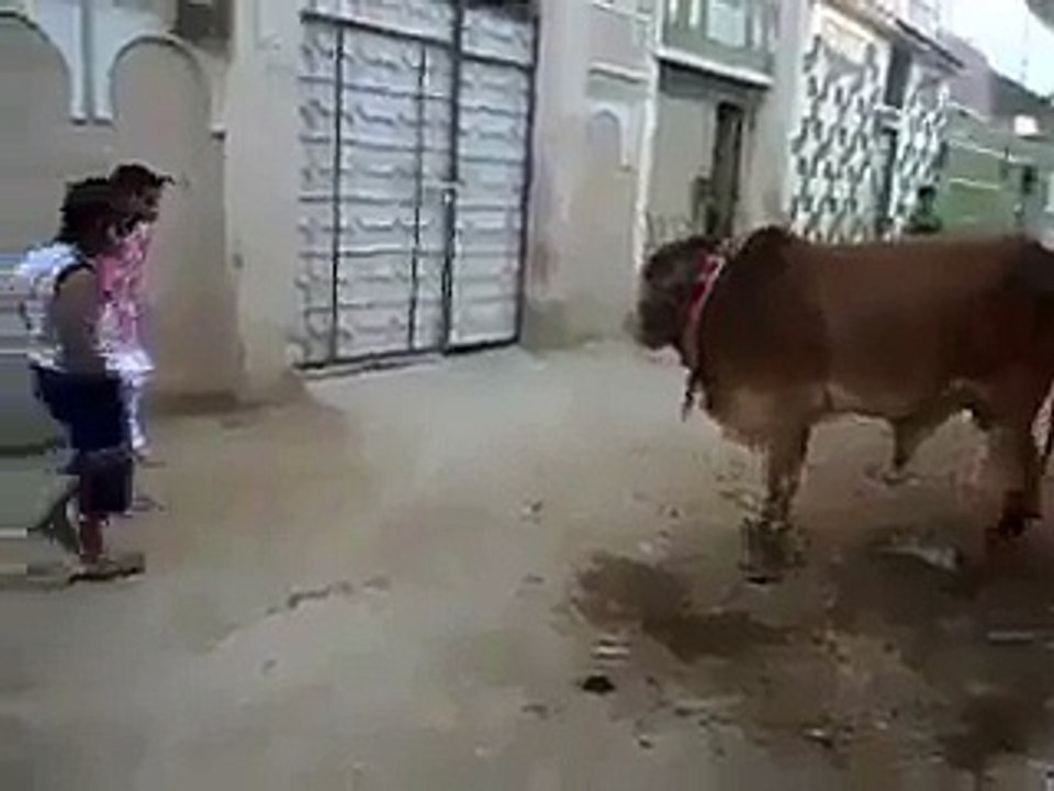 ~ ~ ~ Bachy Man K Sachy ~ ~ ~