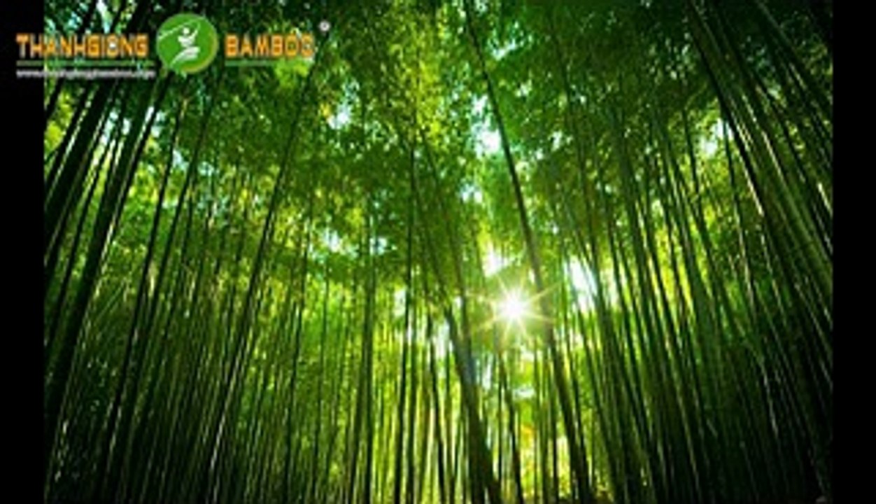 VÁN SÀN TRE | CẦU THANG TRE - LINH ĐÀM - HÀ NỘI