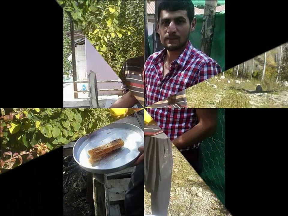 DAVUL ZURNA EŞLİGİNDE CAMBAZ KÖYÜ ANDIRIN