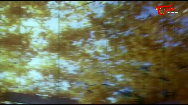 Trisoolam Movie Songs || Veluguku || Krishnam Raju || Radhika || Jayasudha || Sridevi