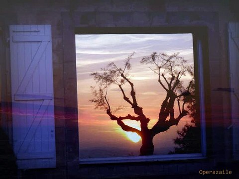 Aafje Heynis: Panis Angelicus by César Franck