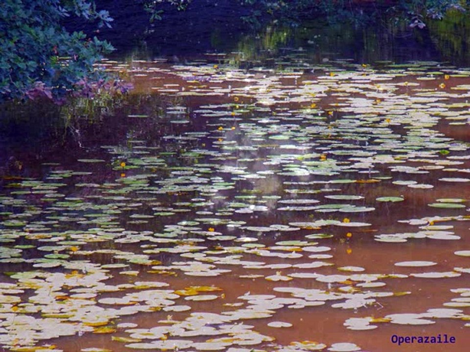 Aafje Heynis: Che farò senza Euridice by Gluck