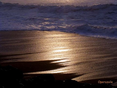 Aafje Heynis: Dank sei Dir, Herr by Ochs (Handel)