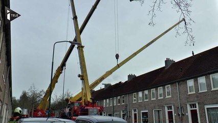 Pays-Bas : une demande en mariage fracassante