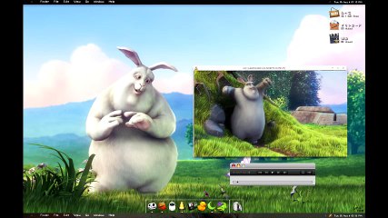 lapin blanc et papillon