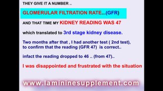 Laminine saves the only kidney