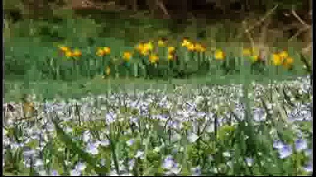 JOURNEY TO THE EDGE OF THE UNIVERSE HD 1080p