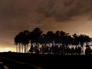 Aafje Heynis: Buss und Reu (Passion selon saint Matthieu) by Bach