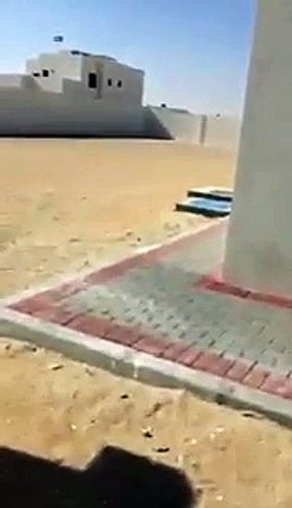بالفيديو .. دهشة مواطن اثناء زيارته لمباني الإسكان الإماراتية للمواطنين