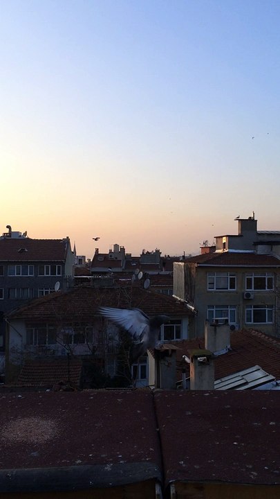 FERDİ BAYRAK MUHAMMET ÇUHADAR sefer kuşları  dumanlı 05354829474