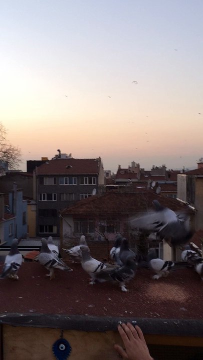 FERDİ BAYRAK MUHAMMET ÇUHADAR sefer kuşları  dumanlı 05354829474