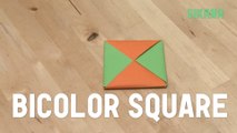 Origami: Bicolor Square