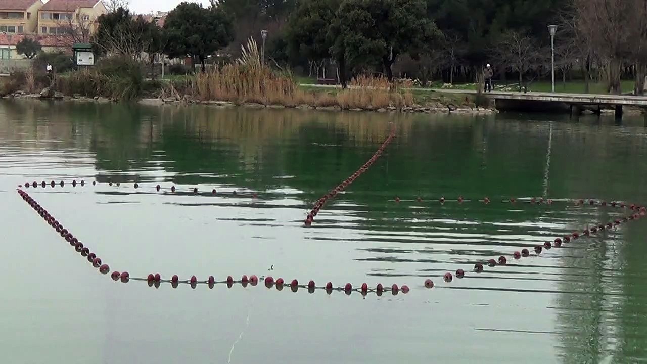 pose d'un filet verveux dans un étang pour une peche sélèctive www.tremail.fr