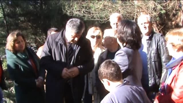 Urla'da Res İçin Ağaçların Kesildiği İddiası - Balbay