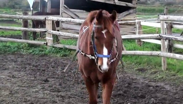 DANSEUSE DE KACY AUX ELASTIQUES